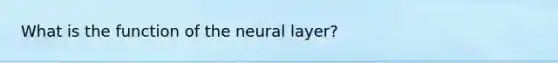 What is the function of the neural layer?