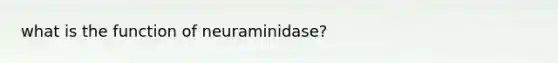 what is the function of neuraminidase?