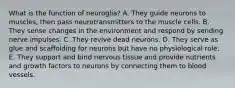 What is the function of neuroglia? A. They guide neurons to muscles, then pass neurotransmitters to the muscle cells. B. They sense changes in the environment and respond by sending nerve impulses. C. They revive dead neurons. D. They serve as glue and scaffolding for neurons but have no physiological role. E. They support and bind nervous tissue and provide nutrients and growth factors to neurons by connecting them to blood vessels.