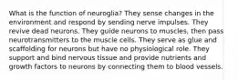 What is the function of neuroglia? They sense changes in the environment and respond by sending nerve impulses. They revive dead neurons. They guide neurons to muscles, then pass neurotransmitters to the muscle cells. They serve as glue and scaffolding for neurons but have no physiological role. They support and bind nervous tissue and provide nutrients and growth factors to neurons by connecting them to blood vessels.