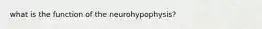 what is the function of the neurohypophysis?