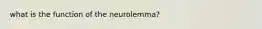 what is the function of the neurolemma?