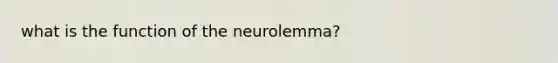 what is the function of the neurolemma?