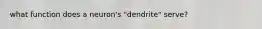 what function does a neuron's "dendrite" serve?