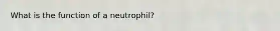 What is the function of a neutrophil?