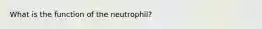 What is the function of the neutrophil?