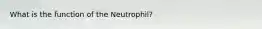 What is the function of the Neutrophil?