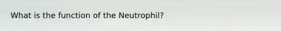 What is the function of the Neutrophil?