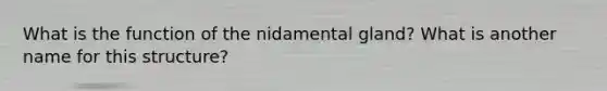 What is the function of the nidamental gland? What is another name for this structure?