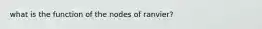 what is the function of the nodes of ranvier?