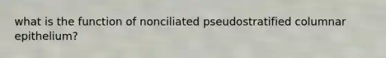 what is the function of nonciliated pseudostratified columnar epithelium?