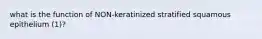 what is the function of NON-keratinized stratified squamous epithelium (1)?