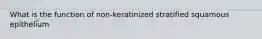 What is the function of non-keratinized stratified squamous epithelium