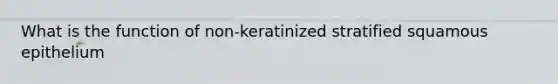 What is the function of non-keratinized stratified squamous epithelium