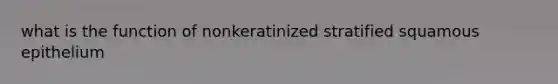 what is the function of nonkeratinized stratified squamous epithelium