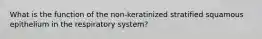 What is the function of the non-keratinized stratified squamous epithelium in the respiratory system?