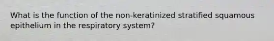 What is the function of the non-keratinized stratified squamous epithelium in the respiratory system?