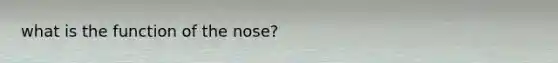 what is the function of the nose?