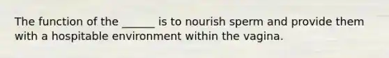 The function of the ______ is to nourish sperm and provide them with a hospitable environment within the vagina.