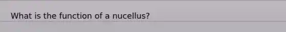 What is the function of a nucellus?