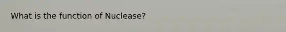 What is the function of Nuclease?