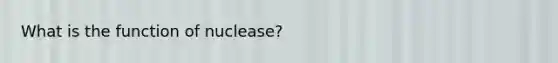 What is the function of nuclease?