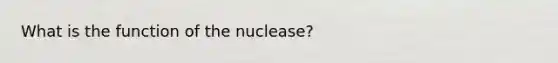 What is the function of the nuclease?