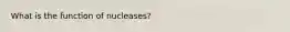 What is the function of nucleases?