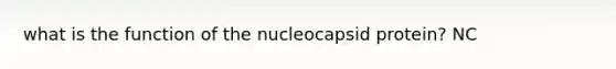 what is the function of the nucleocapsid protein? NC