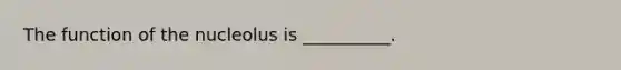 The function of the nucleolus is __________.