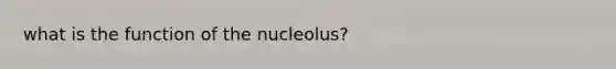 what is the function of the nucleolus?