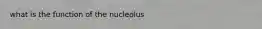 what is the function of the nucleolus