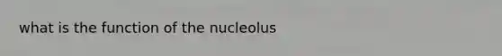 what is the function of the nucleolus