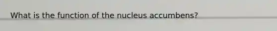 What is the function of the nucleus accumbens?