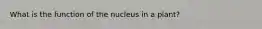 What is the function of the nucleus in a plant?