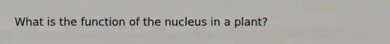 What is the function of the nucleus in a plant?