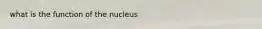 what is the function of the nucleus