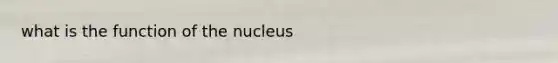 what is the function of the nucleus