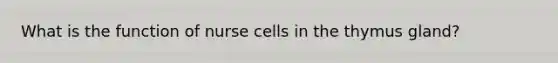 What is the function of nurse cells in the thymus gland?