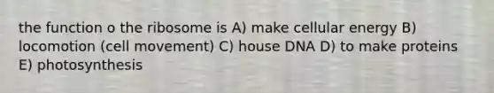 the function o the ribosome is A) make cellular energy B) locomotion (cell movement) C) house DNA D) to make proteins E) photosynthesis