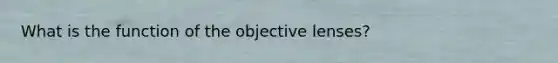 What is the function of the objective lenses?