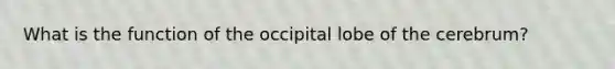 What is the function of the occipital lobe of the cerebrum?