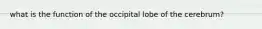 what is the function of the occipital lobe of the cerebrum?