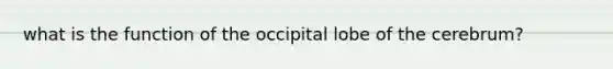 what is the function of the occipital lobe of the cerebrum?