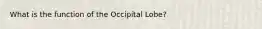 What is the function of the Occipital Lobe?