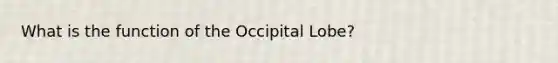 What is the function of the Occipital Lobe?