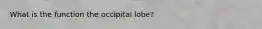 What is the function the occipital lobe?