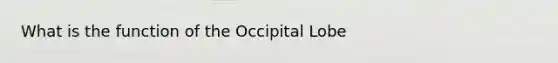 What is the function of the Occipital Lobe