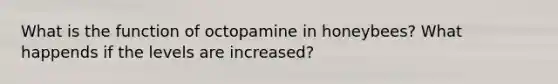 What is the function of octopamine in honeybees? What happends if the levels are increased?