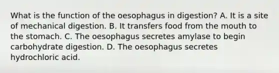 What is the function of the oesophagus in digestion? A. It is a site of mechanical digestion. B. It transfers food from the mouth to the stomach. C. The oesophagus secretes amylase to begin carbohydrate digestion. D. The oesophagus secretes hydrochloric acid.